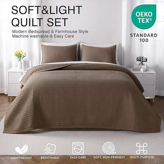 Queen Quilt Set – 90"x90" Soft Washed 3-Layer Lightweight Bedspread with Multi-Lock Quilting, Minimalist Nordic Bedding, All-Season Quilt for Spring, Summer & Fall (1 Quilt + 2 Pillow Shams), Cub