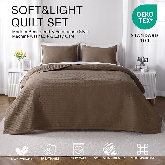 XL Queen Quilt Set – 98"x98" Soft Washed 3-Layer Lightweight Bedspread with Multi-Lock Quilting, Minimalist Nordic Bedding, All-Season Quilt for Spring, Summer & Fall (1 Quilt + 2 Pillow Shams), Cub
