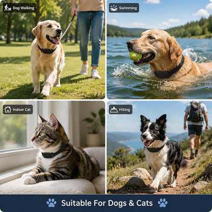 Dog Collar Holder(2 Pack) for Galaxy Smarttag2, Waterproof Silicone Case for Pet Cat, Anti-Lost Scratch Resistant Protective Cover Accessory for Samsung Galaxy Smart tag2 (Black)