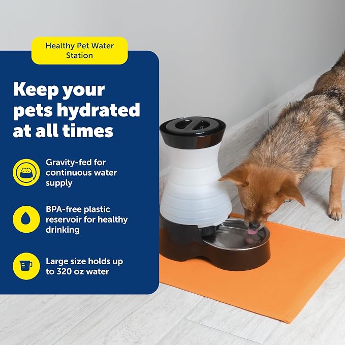 PetSafe Healthy Pet Water Station, 320 oz, Stainless Steel Bowl, Large | Gravity-Fed Pet Water Fountain Keeps Cats or Small Dogs Hydrated, Stainless Steel Bowl Is Dishwasher Safe