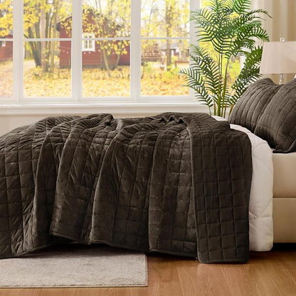 BEDELITE Velvet Quilt Set Queen Size - Luxury Velvet Comforter Bedding Set 3 Pieces, Lightweight Soft Cozy Mocha Brown Oversized Bedspread Coverlet for All Seasons with 2 Pillow Shams