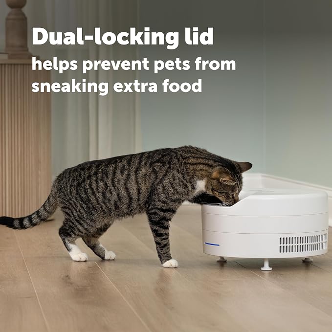 PetSafe FreshFeed Refrigerated Automatic Wet Food Feeder, 6 Meals, White | 40F Dual Semiconductor Cooling, Keeps Wet Food Fresh, Automatic 6-Meal Rotating Tray, App-Controlled Scheduling