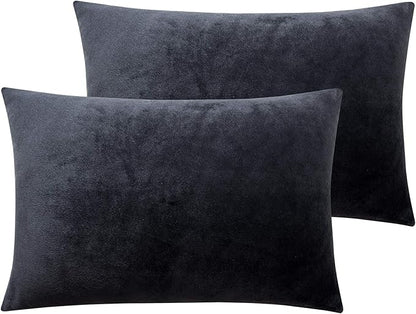 NTBAY Zipped Velvet Toddler Pillowcases, 2 Pack Cozy Luxury Flannel Plush Travel Pillow Cases, 13x18 Inches, Charcoal Grey
