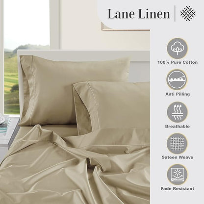 LANE LINEN Pillows Queen Size Set of 2 Soft 100% Egyptian Cotton Cool & Smooth 1000 Thread Count Pillow Cases - Linen