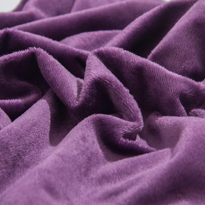 NTBAY Velvet 2 Pack Square Zippered Throw Pillow Covers, Super Soft and Luxury Euro Cushion Covers for Sofa, Couch, 24x24 Inches, Purple