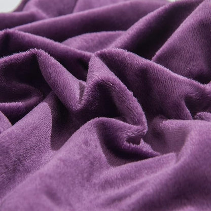 NTBAY Velvet 2 Pack Square Zippered Throw Pillow Covers, Super Soft and Luxury Euro Cushion Covers for Sofa, Couch, 24x24 Inches, Purple