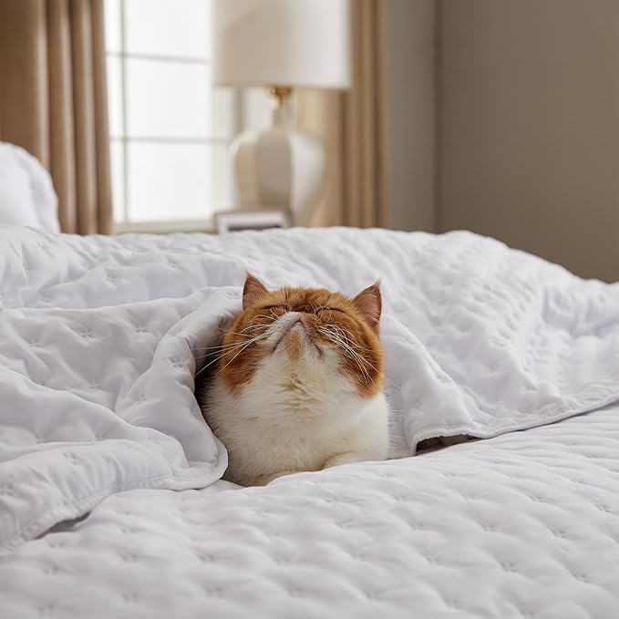 Bedsure Quilts Queen Size - Bright White Bedspread Queen Size & Lightweight Comforter, Modern Coverlet with Clover Pattern, Ultra Soft All-Season Bedding, 90 x 96 Inches | Stitch-Free Quilting, Lightweight, Summer Bedding Set, Machine Washable, Pet-Fri...