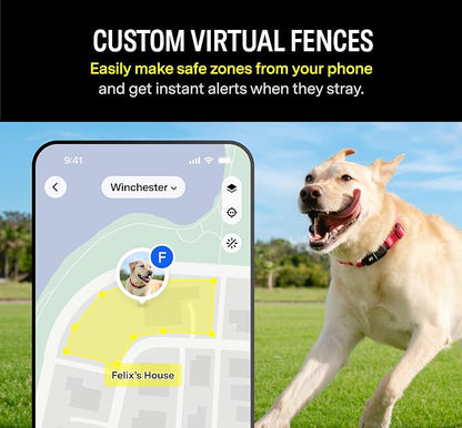 Fi Series 3+ GPS + Health Dog Collar, Blue, Large, 12-Month Membership | Live GPS + health dog tracking — Escape Alerts, activity & behavior insights, LED light. Waterproof & Apple Watch compatible.