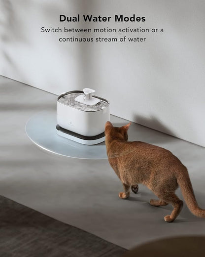 Bundle of PETLIBRO Cat Water Fountain + 8 Packs Genuine Replacement Filters 4 Months Set, Cordless Pet Water Fountain Battery Operated, Cat Fountain with Stainless Steel Tray, Easy to Clean BPA-Free
