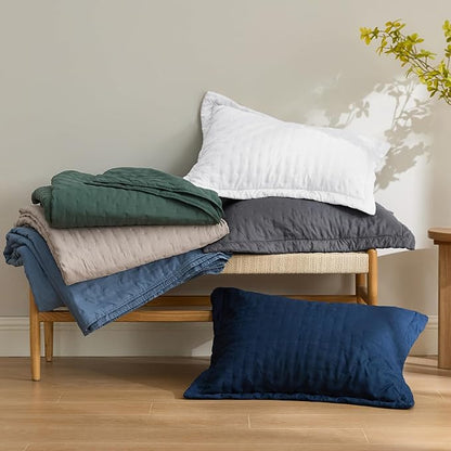 Bedsure Quilts Queen Size - Charcoal Bedspread Queen Size & Lightweight Comforter, Modern Coverlet with Clover Pattern, Ultra Soft All-Season Bedding, 90 x 96 Inches | Stitch-Free Quilting, Ultra Soft, Lightweight, Machine Washable, Pet-Friendly