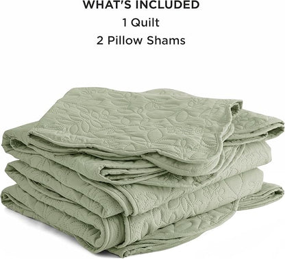 Bedsure Quilts Queen Size - Ultra Soft Pre-Washed Cloud-Like Bedding, All-Season Lightweight Comforter for Country Bedroom, Leaf Design Coverlet in Desert Sage, 90 x 96 Inches | Stitch-Free Quilting, Ultra Soft, Lightweight, Machine Washable, Pet-Friendly