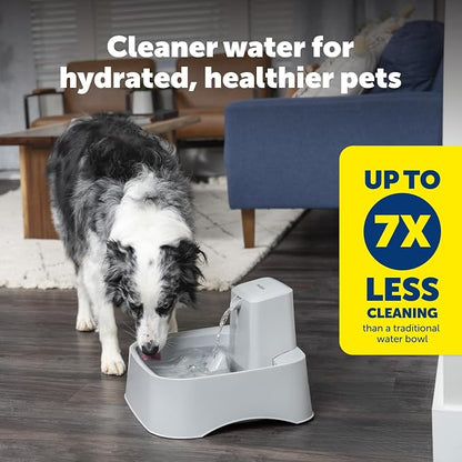 PetSafe Oasys 2 Gallon Pet Fountain | Adjustable Water Flow, Whisker-Friendly Tray, Dishwasher-Safe, Replaceable Carbon & Foam Filters Included