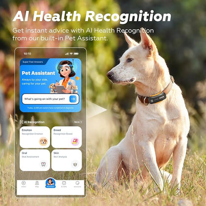 DBDD AI GPS Tracker for Dogs (30lbs+) - Real-Time Location & AI Health Assistant, Electronic Fence Collar for Escape Artists, Waterproof Dog GPS Tracker for Medium Large Dogs, iOS Android