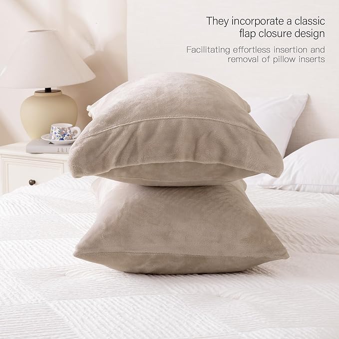 Velvet Queen Pillowcases Standard Size of 2 Pack, Ultra Soft Breathable Pillow Cases with Flap Closure for Bed, Luxury Fuzzy Warm Flannel Velvet Pillow Covers, No Insert (Queen 20x30, Taupe)
