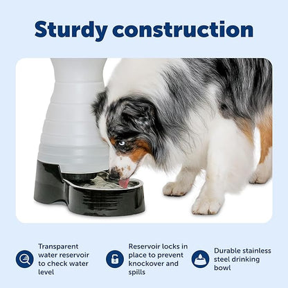 PetSafe Healthy Pet Water Station, 320 oz, Stainless Steel Bowl, Large | Gravity-Fed Pet Water Fountain Keeps Cats or Small Dogs Hydrated, Stainless Steel Bowl Is Dishwasher Safe