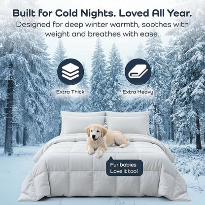 Olive + Crate 100% Viscose derived from Bamboo Comforter Outer Shell - Extra Thicker and Heavier Queen Size - Cooling Blanket, Hypoallergenic & Moisture Wicking Bedding - Winter Comforter (88" x 90")