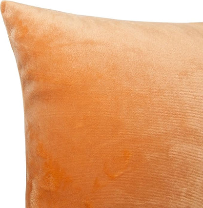 NTBAY Velvet 2 Pack Square Zippered Throw Pillow Covers, Super Soft and Luxury Euro Cushion Covers for Sofa, Couch, 24x24 Inches, Ginger Yellow