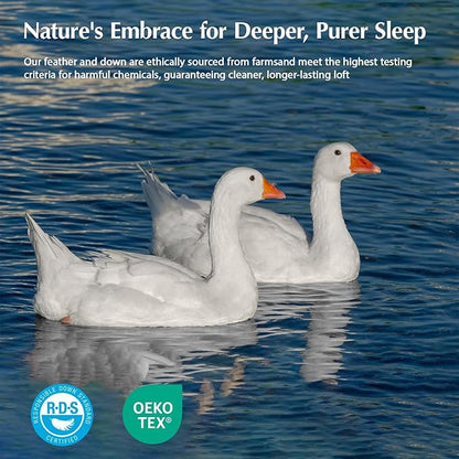 PACIFIC COAST Goose Down Fiber Comforters Oversized Queen Duvet Insert, All Season White Comforter, 3D Hidden-Stitch Baffle Box Design, 8 Tabs, Gifts for Women/Men, Extra Fluffy Luxury Duvet (98"x98")