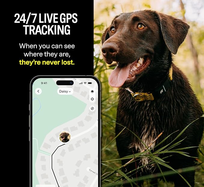 Fi Series 3+ GPS + Health Dog Collar, Blue, Large, 12-Month Membership | Live GPS + health dog tracking — Escape Alerts, activity & behavior insights, LED light. Waterproof & Apple Watch compatible.
