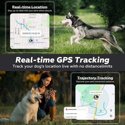 DBDD AI GPS Tracker for Dogs (30lbs+) - Real-Time Location & AI Health Assistant, Electronic Fence Collar for Escape Artists, Waterproof Dog GPS Tracker for Medium Large Dogs, iOS Android