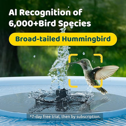Smart Bird Bath with Camera Solar Powered & Fountain & Stand, Dual-Lens Camera for Wildbird Watching, Auto Capture Bird Videos & Motion Detection - AI by Subscription