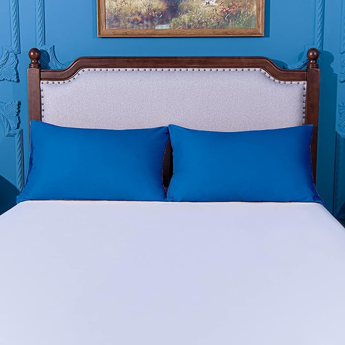 NTBAY Standard Pillowcase Set - 2 Pack Brushed Microfiber 20x26 Pillowcases - Soft, Wrinkle-Free, Fade-Resistant, Stain-Resistant, Royal Blue Pillowcases with Envelope Closure - 20x26 Inches