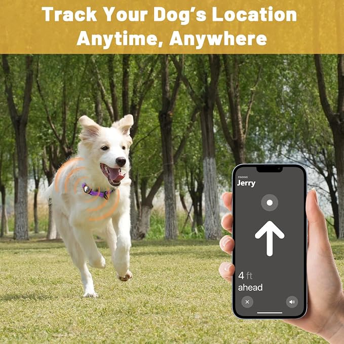 Taglory AirTag Dog Collar with Waterproof Holder for Medium Dogs, Purple, M | Reflective for Night Walks & Low-Light Safety, Track Your Pup Peace of Mind, Adjustable Soft Padded, No More Dangling Tags