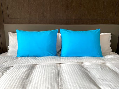 iMaylex Soft 100% Egyptian Cotton Zipper Closure Pillowcases, Cozy and Lightweight Pillow Case, Set of 2, Blue, King, 20" x 36"