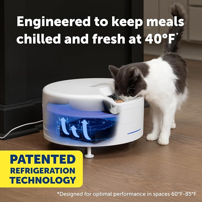 PetSafe FreshFeed Refrigerated Automatic Wet Food Feeder, 6 Meals, White | 40F Dual Semiconductor Cooling, Keeps Wet Food Fresh, Automatic 6-Meal Rotating Tray, App-Controlled Scheduling