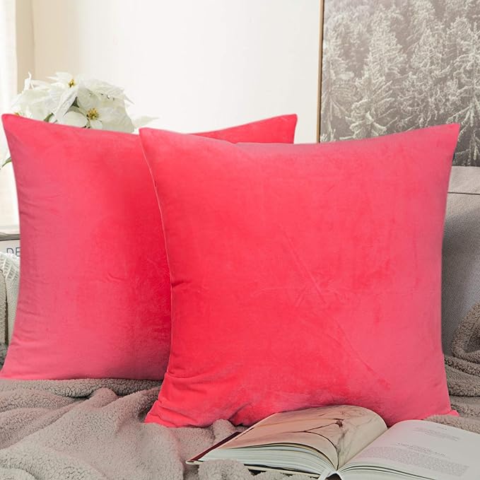 NTBAY Zippered Velvet Square Throw Pillow Covers, 2 Pack Soft and Luxury Decorative Cushion Cases, 18x18 Inches, Hot Pink