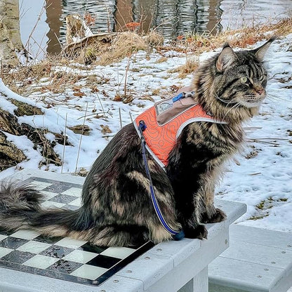 Travel CAT The Pathfinder Cat Harness with GPS Tracker Pocket - Powered by Tractive Cat Harness Escape Proof - Walking Escape Proof Harness for Small, Large Cat, Kitten (Orange, Small)