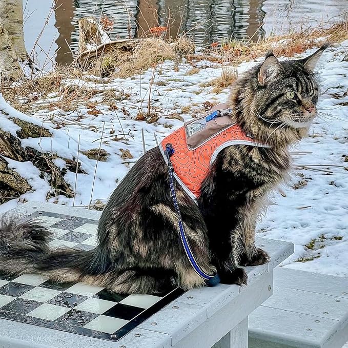 Travel CAT The Pathfinder Cat Harness with GPS Tracker Pocket - Powered by Tractive Cat Harness Escape Proof - Walking Escape Proof Harness for Small, Large Cat, Kitten (Orange, Large)