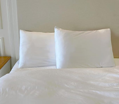 iMaylex Soft 100% Egyptian Cotton Zipper Pillow Case, Cozy and Lightweight Pillowcase, Set of 2, White, Queen, 20" x 30"