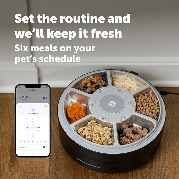 PetSafe FreshFeed Refrigerated Automatic Wet Food Feeder, 6 Meals, Black | 40F Dual Semiconductor Cooling, Keeps Wet Food Fresh, Automatic 6-Meal Rotating Tray, App-Controlled Scheduling