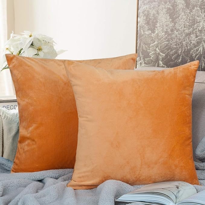 NTBAY Zippered Velvet Square Throw Pillow Covers, 2 Pack Soft and Luxury Decorative Cushion Cases, 18x18 Inches, Ginger Yellow