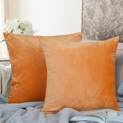 NTBAY Zippered Velvet Square Throw Pillow Covers, 2 Pack Soft and Luxury Decorative Cushion Cases, 18x18 Inches, Ginger Yellow