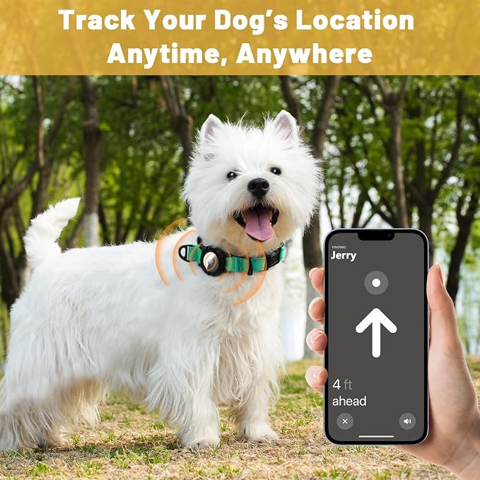 Taglory AirTag Dog Collar with Waterproof Holder for Small Dogs, Turquoise | Reflective for Night Walks & Low-Light Safety, Track Your Pup Peace of Mind, Adjustable Soft Padded, No More Dangling Tags
