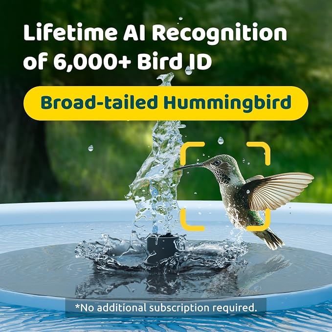 Birdfy Smart Bird Bath with Camera, Solar Powered, Dual-Lens 2K AI Camera | Watch Birds Bathe & Drink in Stunning 2K with Dual-Lens Auto Tracking, Solar Power, Fountain and Lifetime AI Bird Recognition