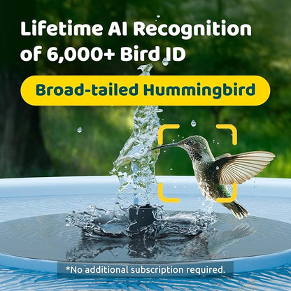 Birdfy Smart Bird Bath with Camera, Solar Powered, Dual-Lens 2K AI Camera | Watch Birds Bathe & Drink in Stunning 2K with Dual-Lens Auto Tracking, Solar Power, Fountain and Lifetime AI Bird Recognition