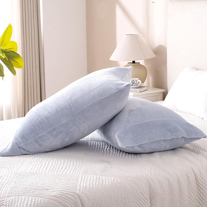 Velvet Queen Pillowcases Standard Size of 2 Pack, Ultra Soft Breathable Pillow Cases with Flap Closure for Bed, Luxury Fuzzy Warm Flannel Velvet Pillow Covers, No Insert (Queen 20x30, Baby Blue)