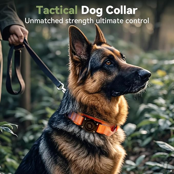 2026 Upgrade Waterproof Tactical AirTag Dog Collar, Built in AirTag Holder | Comfortable Control Handle, Quick Release Metal Buckle, Durable 1000D Nylon, For Medium to Large Dogs, Ocean Blaze,M