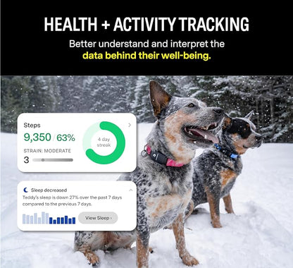 Fi Series 3+ GPS + Health Dog Collar, Blue, Large, 12-Month Membership | Live GPS + health dog tracking — Escape Alerts, activity & behavior insights, LED light. Waterproof & Apple Watch compatible.