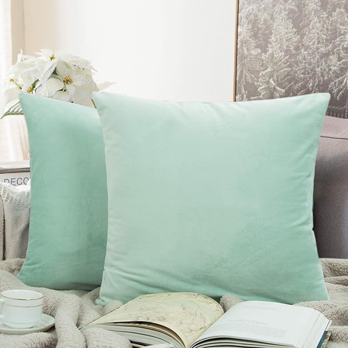 NTBAY Zippered Velvet Square Throw Pillow Covers, 2 Pack Soft and Luxury Decorative Cushion Cases, 18x18 Inches, Cyan