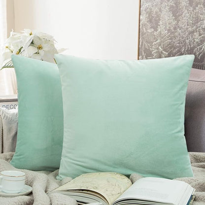 NTBAY Zippered Velvet Square Throw Pillow Covers, 2 Pack Soft and Luxury Decorative Cushion Cases, 18x18 Inches, Cyan