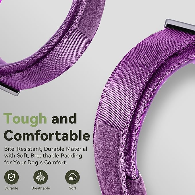 2026 Upgrade Waterproof Tactical AirTag Dog Collar, Built in AirTag Holder | Comfortable Control Handle, Quick Release Metal Buckle, Durable 1000D Nylon, For Medium to Large Dogs, Purple, M
