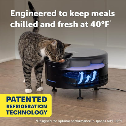 PetSafe FreshFeed Refrigerated Automatic Wet Food Feeder, 6 Meals, Black | 40F Dual Semiconductor Cooling, Keeps Wet Food Fresh, Automatic 6-Meal Rotating Tray, App-Controlled Scheduling