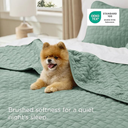 Bedsure Quilts Queen Size - Lightweight Bedspreads Queen Size with Lucky Star Quilting, Soft Quilt Bedding Set, Sage Green Comforter Set Coverlet for All Seasons with 2 Pillow Shams (90" x 96") | Skin-Friendly Soft, All-Season Comfort, Breathable, Ligh...