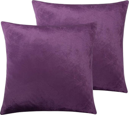 NTBAY Velvet 2 Pack Square Zippered Throw Pillow Covers, Super Soft and Luxury Euro Cushion Covers for Sofa, Couch, 24x24 Inches, Purple