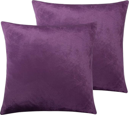 NTBAY Velvet 2 Pack Square Zippered Throw Pillow Covers, Super Soft and Luxury Euro Cushion Covers for Sofa, Couch, 24x24 Inches, Purple