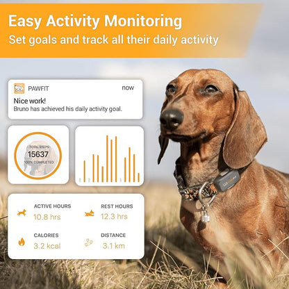 Pawfit Lite 4G GPS Dog Tracker, Live Tracking, Ultra-Light, Simply White